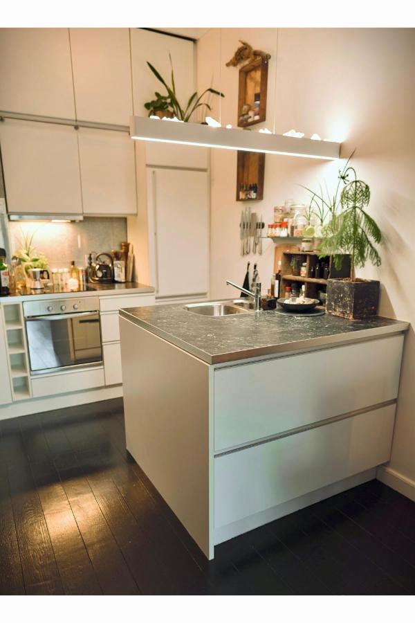 Lovely, 1898 Jugendstil Design Apartment, Old Haarlem City Centre, Fully Renovated With Parkview Near Amsterdam And Zandvoort, Bloemendaal Beach Exterior foto